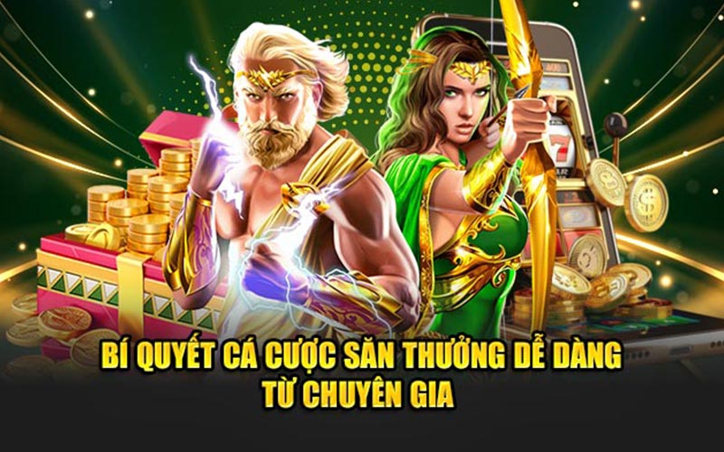 Bí quyết cá cược săn thưởng dễ dàng từ chuyên gia